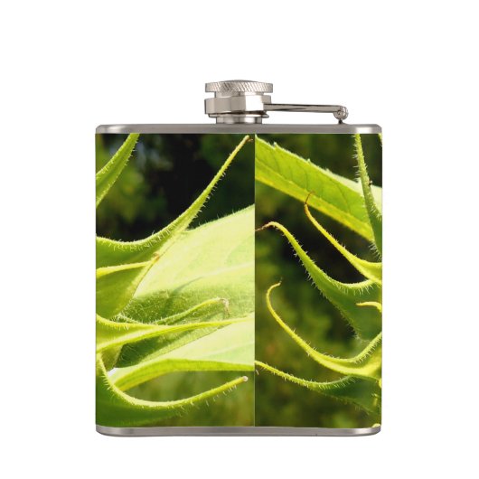 ヒマワリ フラスク (裏面)