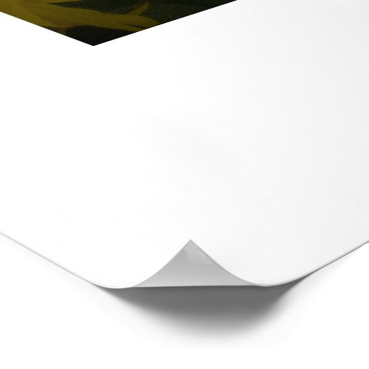 ヒマワリ ポスター (角)