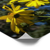 ヒマワリ ポスター (角)