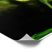 ヒマワリ ポスター (角)