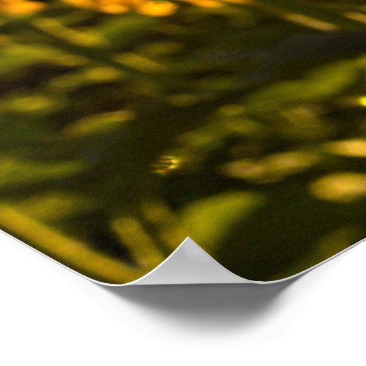 ヒマワリ ポスター (角)