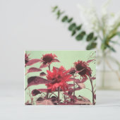 ヒマワリ ポストカード (スタンド正面)