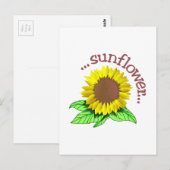 ヒマワリ ポストカード (正面/裏面)