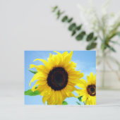 ヒマワリ ポストカード (スタンド正面)