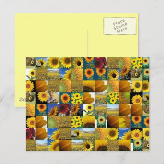 ヒマワリ ポストカード (正面/裏面)