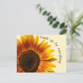 ヒマワリ ポストカード (スタンド正面)
