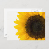 ヒマワリ ポストカード (正面/裏面)