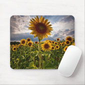 ヒマワリ マウスパッド (マウス)