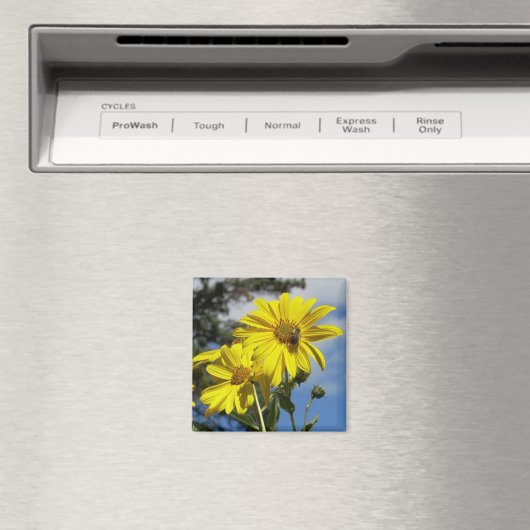 ヒマワリ マグネット (インサイチュ (食洗機))