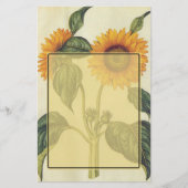 ヒマワリ 便箋 (正面)