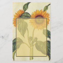 ヒマワリ 便箋