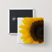 ヒマワリ 缶バッジ (正面&裏面)