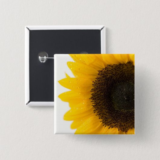 ヒマワリ 缶バッジ (正面&裏面)