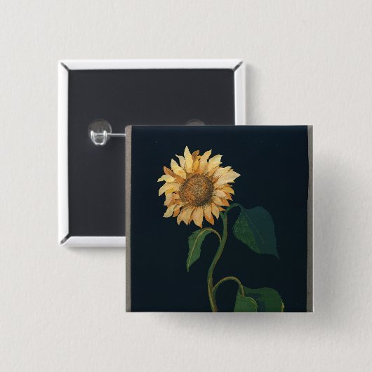 ヒマワリ 缶バッジ (正面&裏面)