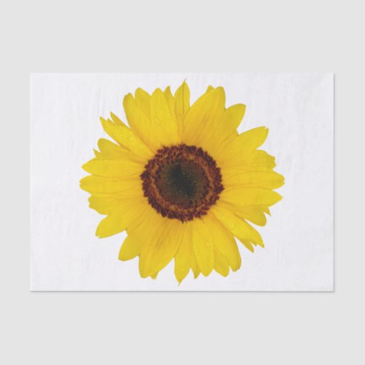 ヒマワリ 薄葉紙 (正面)