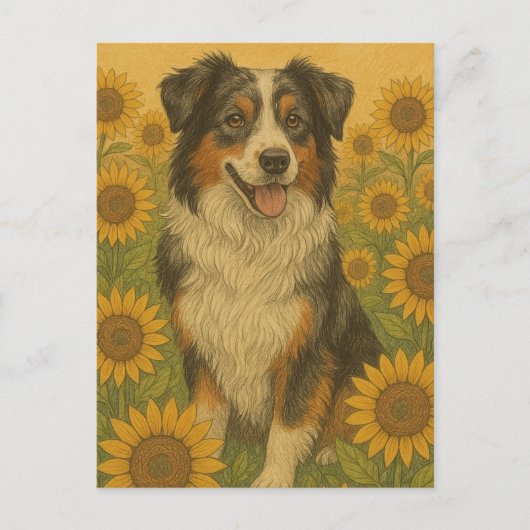 ヒマワリAustralian Shepherd ポストカード (正面)