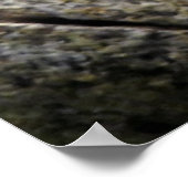 ヒメガエル ポスター (角)