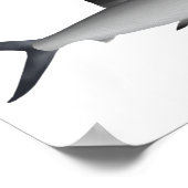 ヒメギリ磁石 ポスター (角)