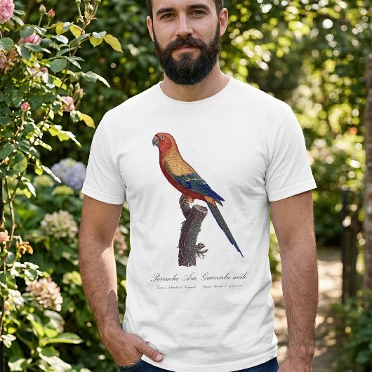 ヒメコンゴウインコ 雄 Aratinga solstitialis Tシャツ