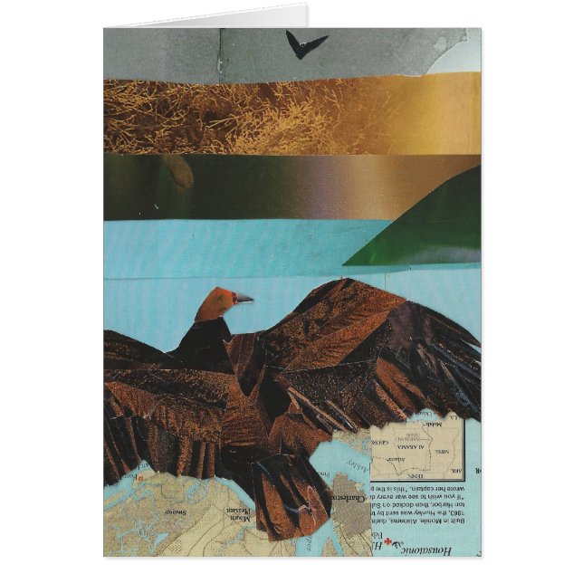 ヒメコンドル (正面)