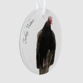 ヒメコンドル オーナメント (正面)