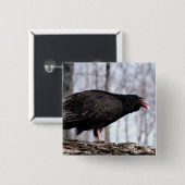 ヒメコンドル 缶バッジ (正面&裏面)