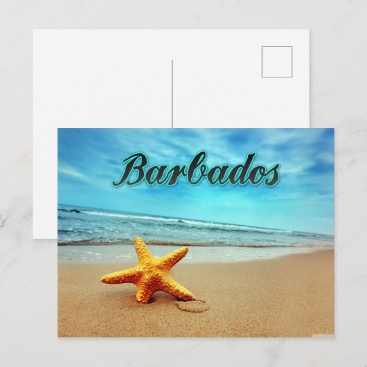 ヒメダイ ポストカード (正面/裏面)