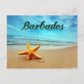 ヒメダイ ポストカード (正面)