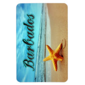 ヒメダイ マグネット (縦)