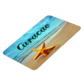 ヒメダイ マグネット (左側)