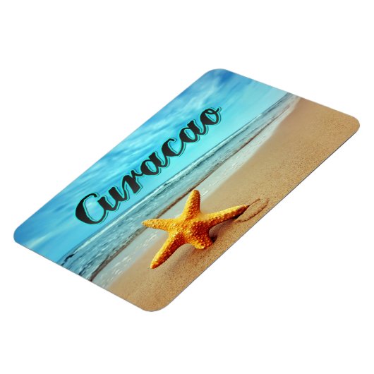 ヒメダイ マグネット (左側)