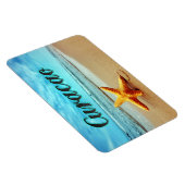 ヒメダイ マグネット (右側)