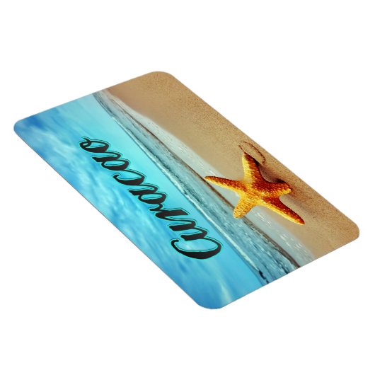 ヒメダイ マグネット (右側)