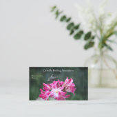 ヒメドリのハチドリ 名刺 (スタンド正面)