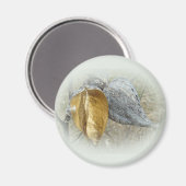 ヒメハシの莢 マグネット (正面/裏面)