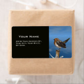 ヒメハチドリ ラベル (インサイチュ)