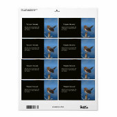 ヒメハチドリ ラベル (フルシート)