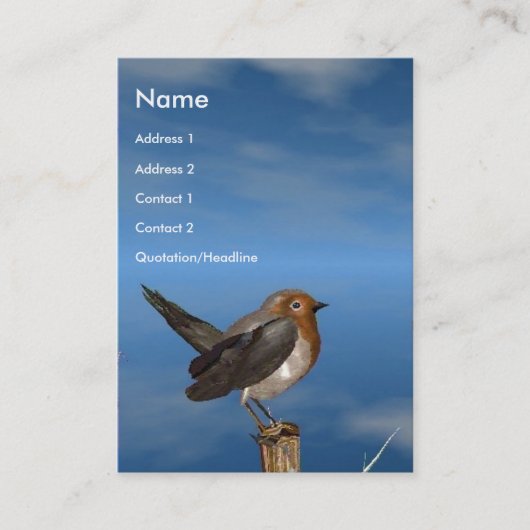 ヒメハチドリ 名刺 (正面)