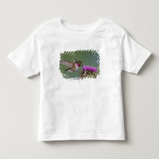 ヒメハチドリ,Selasphorus トドラーTシャツ (正面)