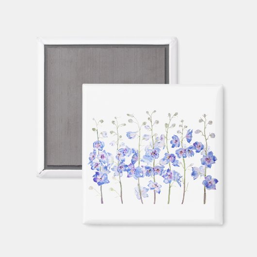 ヒメヒメジ マグネット (正面/裏面)