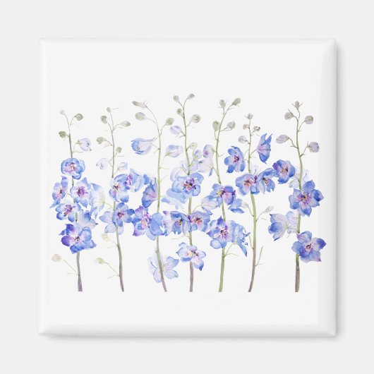 ヒメヒメジ マグネット (正面)