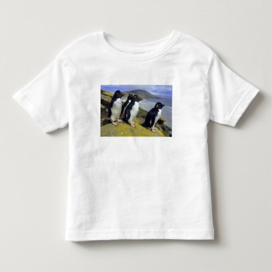 ヒメペンギン (Eudyptes chrysocome) トドラーTシャツ (正面)