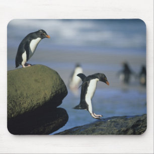 ヒメペンギン(Eudyptes chrysocome) マウスパッド