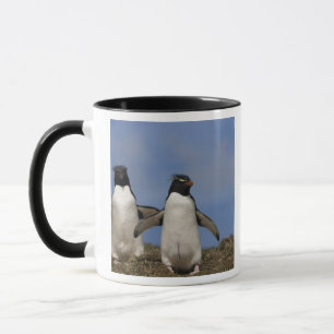 ヒメペンギン Eudyptes chrysocome マグカップ