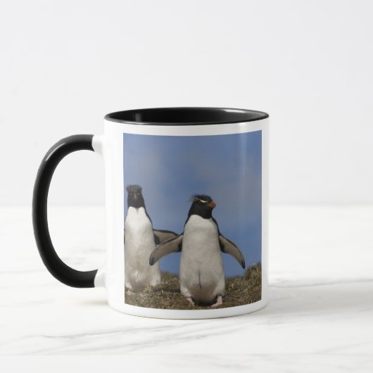 ヒメペンギン Eudyptes chrysocome マグカップ (左)