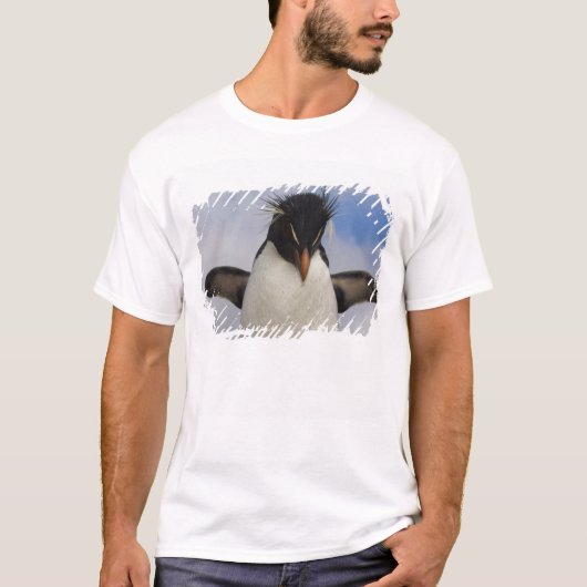 ヒメペンギン Eudyptes chrysocome Tシャツ (正面)