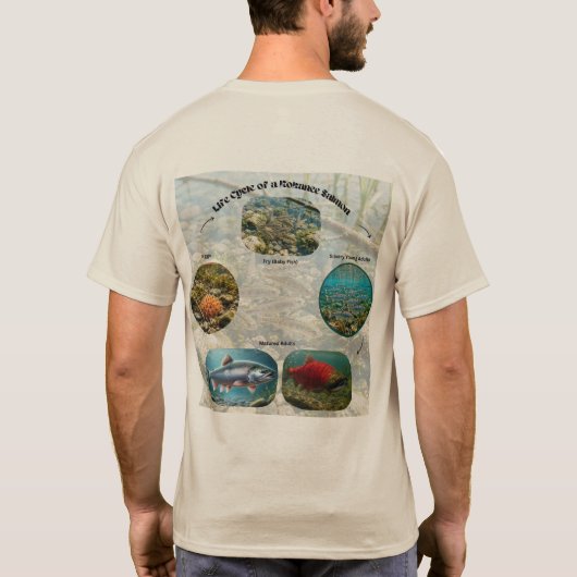 ヒメマスライフサイクルグラフィック Tシャツ (裏面)