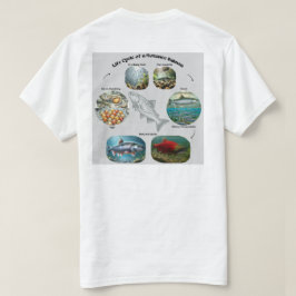 ヒメマスライフサイクル グラフィック Tシャツ