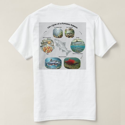 ヒメマスライフサイクル グラフィック Tシャツ (デザイン裏面)
