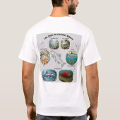ヒメマスライフサイクル グラフィック Tシャツ (裏面)